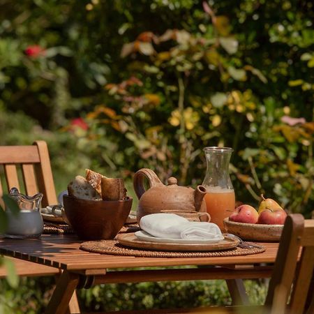 Maison Gamboia, Chambres D'Hotes Au Calme Avec Jardin Hasparren Kültér fotó