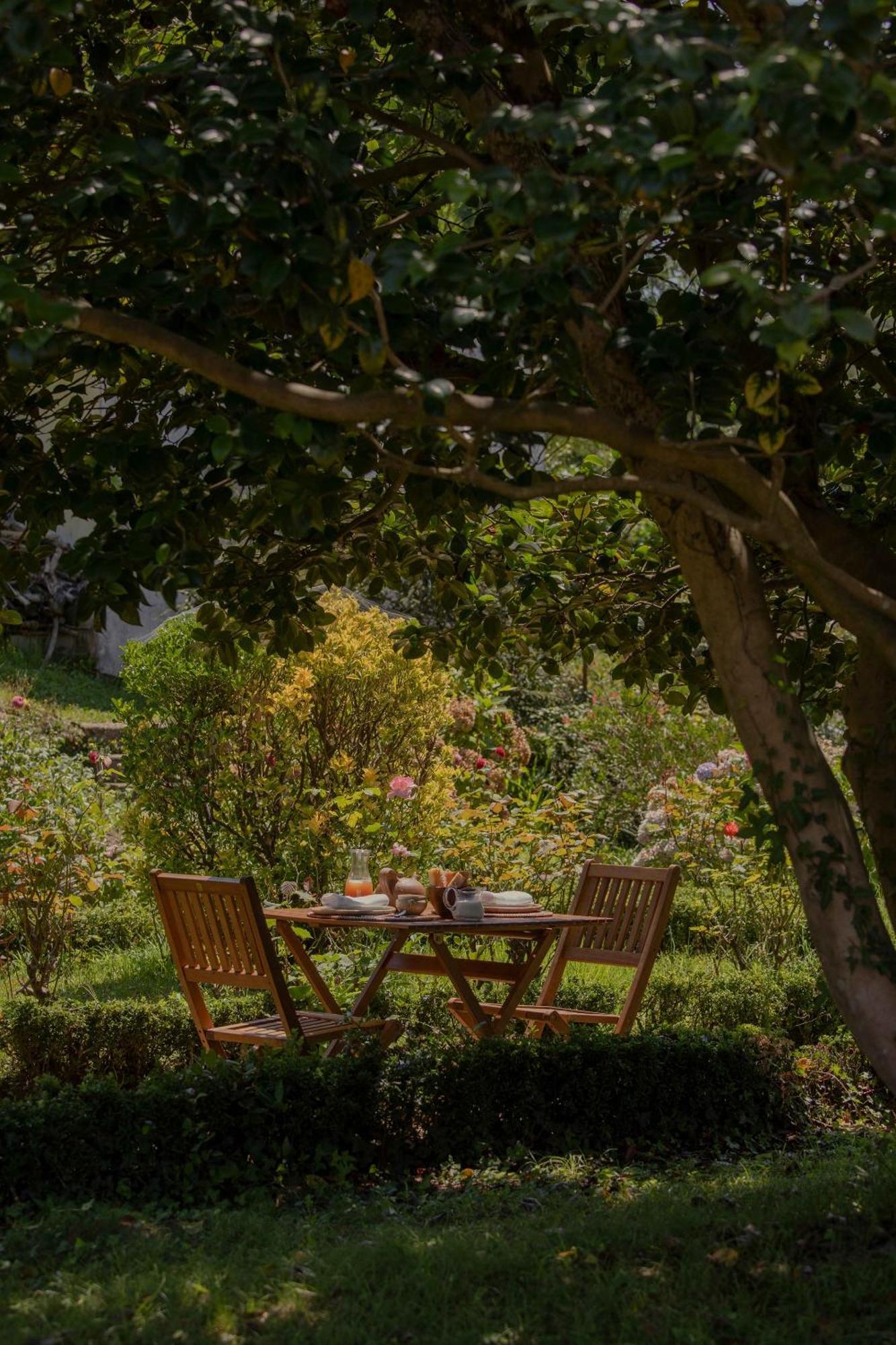 Maison Gamboia, Chambres D'Hotes Au Calme Avec Jardin Hasparren Kültér fotó